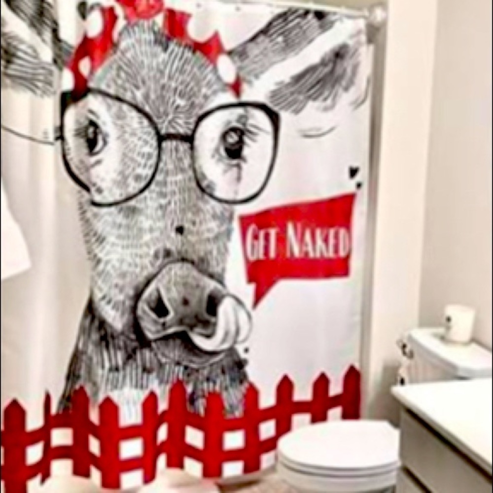 Shower curtain ( farm house)
